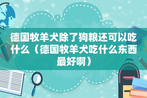 德国牧羊犬除了狗粮还可以吃什么（德国牧羊犬吃什么东西最好啊）