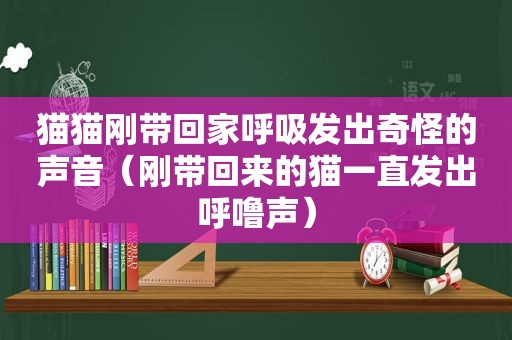 猫猫刚带回家呼吸发出奇怪的声音（刚带回来的猫一直发出呼噜声）