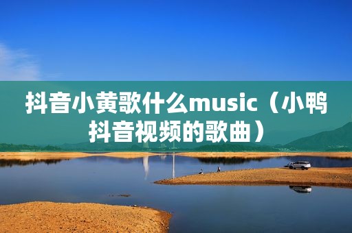 抖音小黄歌什么music（小鸭抖音视频的歌曲）