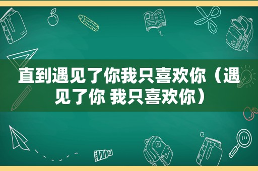 直到遇见了你我只喜欢你（遇见了你 我只喜欢你）