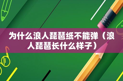 为什么浪人琵琶纸不能弹（浪人琵琶长什么样子）