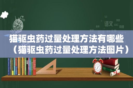 猫驱虫药过量处理方法有哪些（猫驱虫药过量处理方法图片）