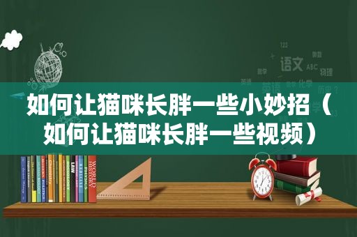 如何让猫咪长胖一些小妙招（如何让猫咪长胖一些视频）