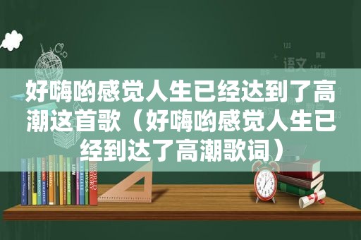 好嗨哟感觉人生已经达到了 *** 这首歌（好嗨哟感觉人生已经到达了 *** 歌词）