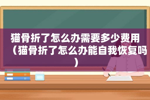 猫骨折了怎么办需要多少费用（猫骨折了怎么办能自我恢复吗）