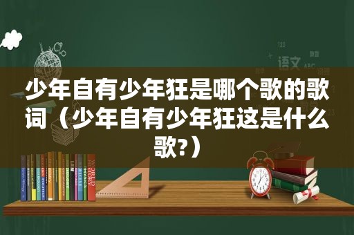 少年自有少年狂是哪个歌的歌词（少年自有少年狂这是什么歌?）