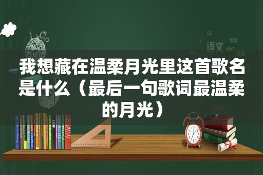 我想藏在温柔月光里这首歌名是什么（最后一句歌词最温柔的月光）