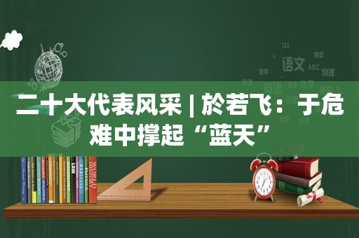 二十大代表风采 | 於若飞：于危难中撑起“蓝天”