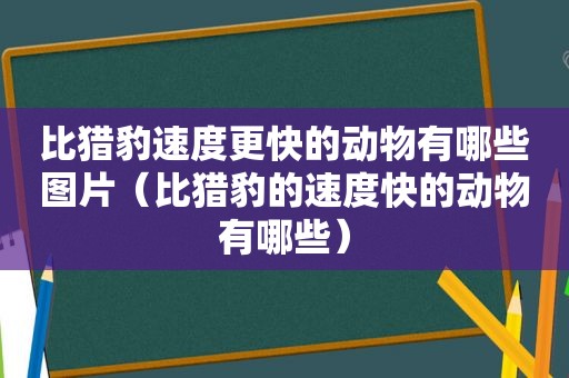 比猎豹速度更快的动物有哪些图片（比猎豹的速度快的动物有哪些）