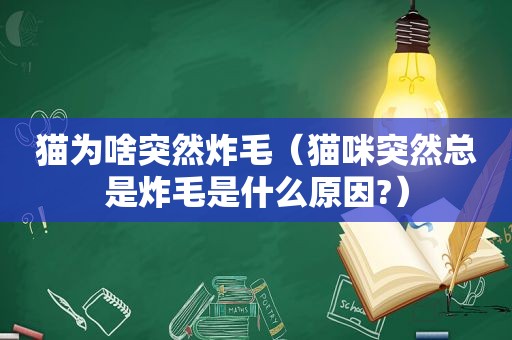 猫为啥突然炸毛（猫咪突然总是炸毛是什么原因?）