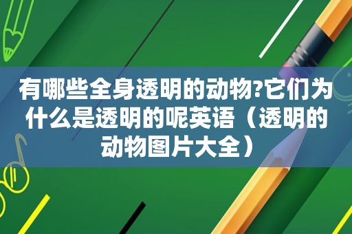 有哪些全身透明的动物?它们为什么是透明的呢英语（透明的动物图片大全）