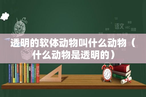 透明的软体动物叫什么动物（什么动物是透明的）