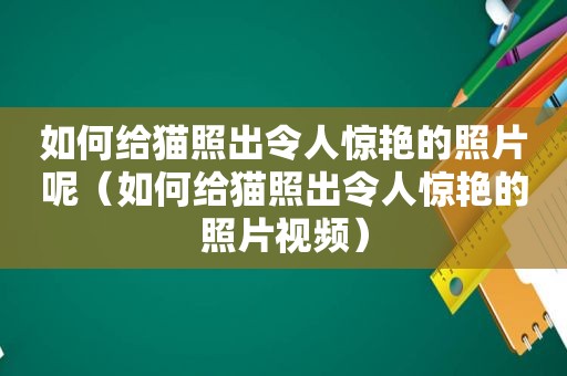 如何给猫照出令人惊艳的照片呢（如何给猫照出令人惊艳的照片视频）