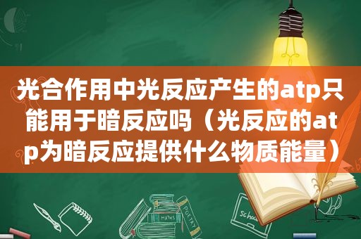 光合作用中光反应产生的atp只能用于暗反应吗（光反应的atp为暗反应提供什么物质能量）