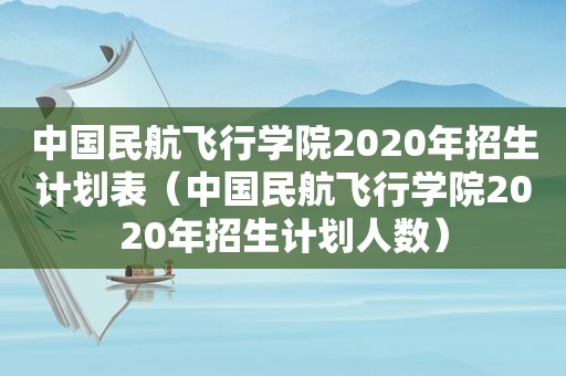 中国民航飞行学院2020年招生计划表（中国民航飞行学院2020年招生计划人数）