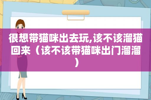 很想带猫咪出去玩,该不该溜猫回来（该不该带猫咪出门溜溜）