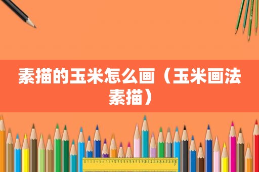 素描的玉米怎么画（玉米画法素描）