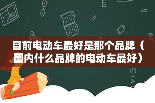 目前电动车最好是那个品牌（国内什么品牌的电动车最好）