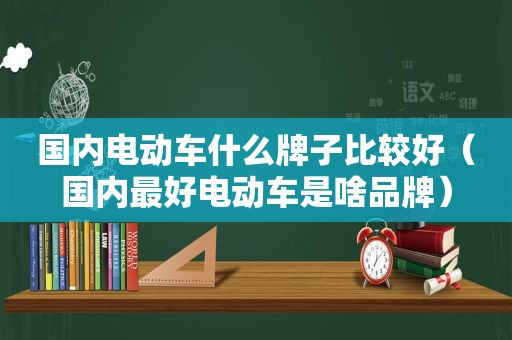 国内电动车什么牌子比较好（国内最好电动车是啥品牌）