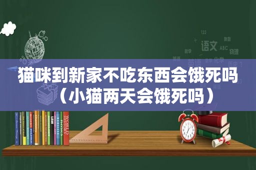 猫咪到新家不吃东西会饿死吗（小猫两天会饿死吗）