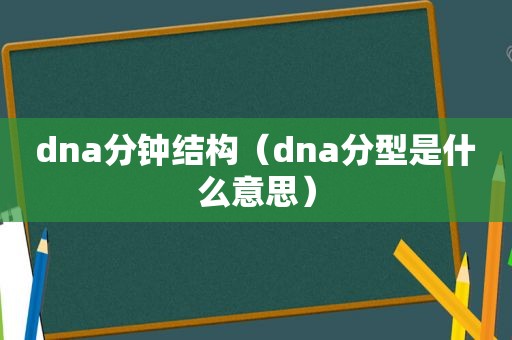 dna分钟结构（dna分型是什么意思）