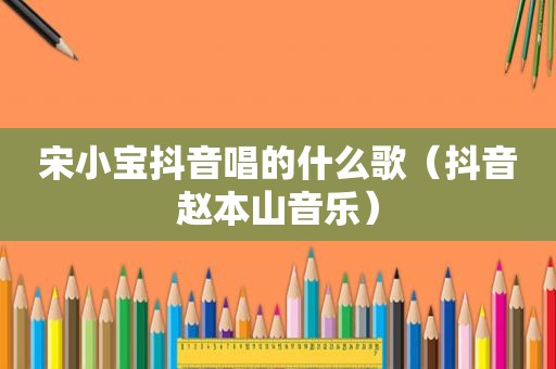 宋小宝抖音唱的什么歌（抖音赵本山音乐）