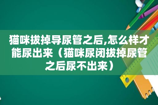 猫咪拔掉导尿管之后,怎么样才能尿出来（猫咪尿闭拔掉尿管之后尿不出来）