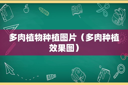 多肉植物种植图片（多肉种植效果图）