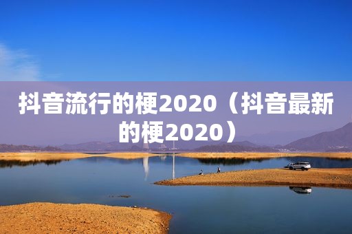 抖音流行的梗2020（抖音最新的梗2020）