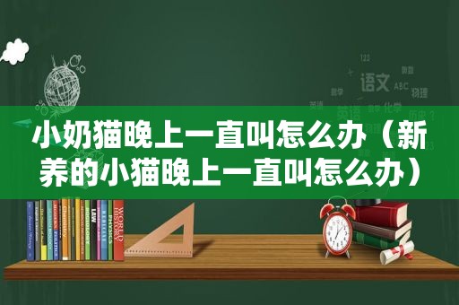 小奶猫晚上一直叫怎么办（新养的小猫晚上一直叫怎么办）