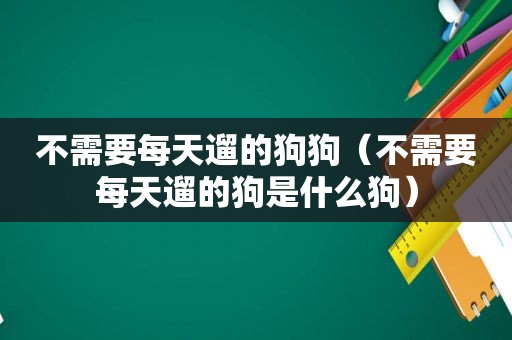 不需要每天遛的狗狗（不需要每天遛的狗是什么狗）