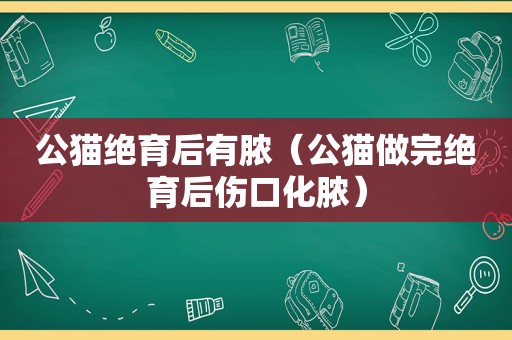 公猫绝育后有脓（公猫做完绝育后伤口化脓）