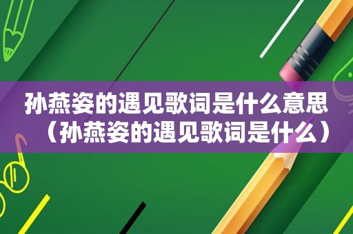 孙燕姿的遇见歌词是什么意思（孙燕姿的遇见歌词是什么）