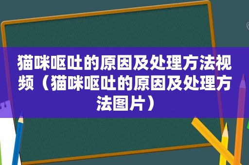 猫咪呕吐的原因及处理方法视频（猫咪呕吐的原因及处理方法图片）