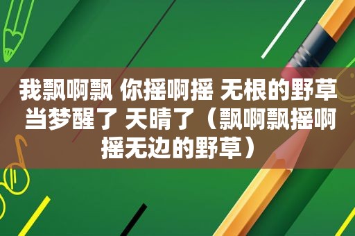 我飘啊飘 你摇啊摇 无根的野草 当梦醒了 天晴了（飘啊飘摇啊摇无边的野草）