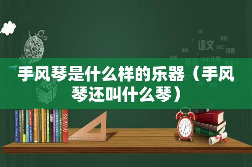 手风琴是什么样的乐器（手风琴还叫什么琴）