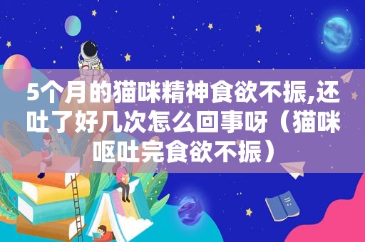 5个月的猫咪精神食欲不振,还吐了好几次怎么回事呀（猫咪呕吐完食欲不振）