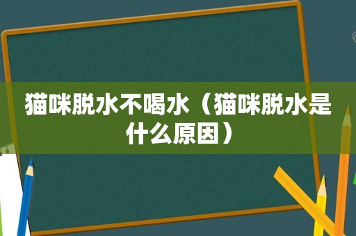 猫咪脱水不喝水（猫咪脱水是什么原因）