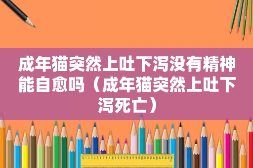 成年猫突然上吐下泻没有精神能自愈吗（成年猫突然上吐下泻死亡）