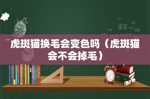 虎斑猫换毛会变色吗（虎斑猫会不会掉毛）