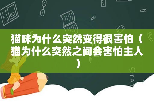 猫咪为什么突然变得很害怕（猫为什么突然之间会害怕主人）