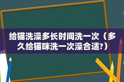 给猫洗澡多长时间洗一次（多久给猫咪洗一次澡合适?）