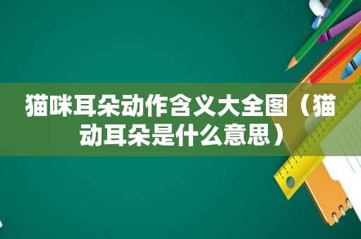 猫咪耳朵动作含义大全图（猫动耳朵是什么意思）