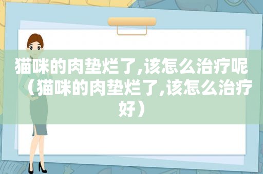 猫咪的肉垫烂了,该怎么治疗呢（猫咪的肉垫烂了,该怎么治疗好）