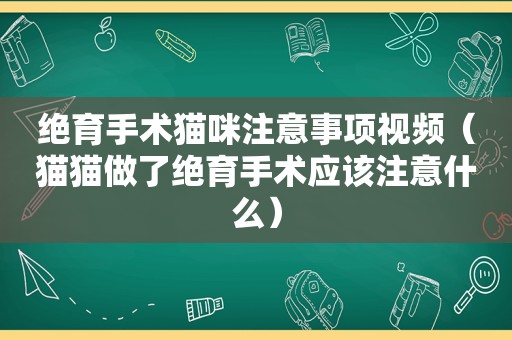 绝育手术猫咪注意事项视频（猫猫做了绝育手术应该注意什么）