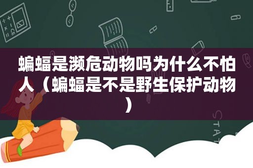 蝙蝠是濒危动物吗为什么不怕人（蝙蝠是不是野生保护动物）