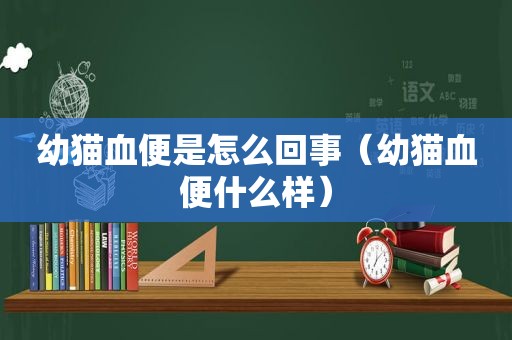 幼猫血便是怎么回事（幼猫血便什么样）