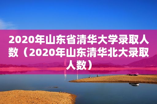 2020年山东省清华大学录取人数（2020年山东清华北大录取人数）