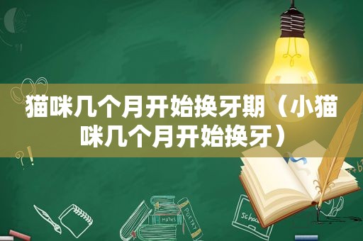 猫咪几个月开始换牙期（小猫咪几个月开始换牙）