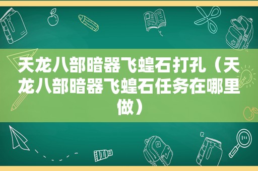 天龙八部暗器飞蝗石打孔（天龙八部暗器飞蝗石任务在哪里做）